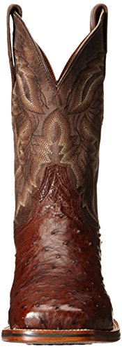 Dan Post Men's Alamosa Western Boot, Chocolate, 11 D US