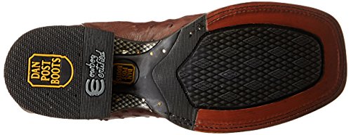 Dan Post Men's Alamosa Western Boot, Chocolate, 11 D US