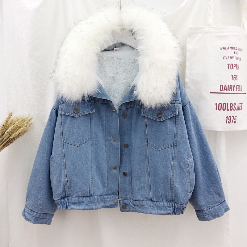 2019 velvet thick denim jacket female winter big faux fur collar Korea denim  coat female student short coat