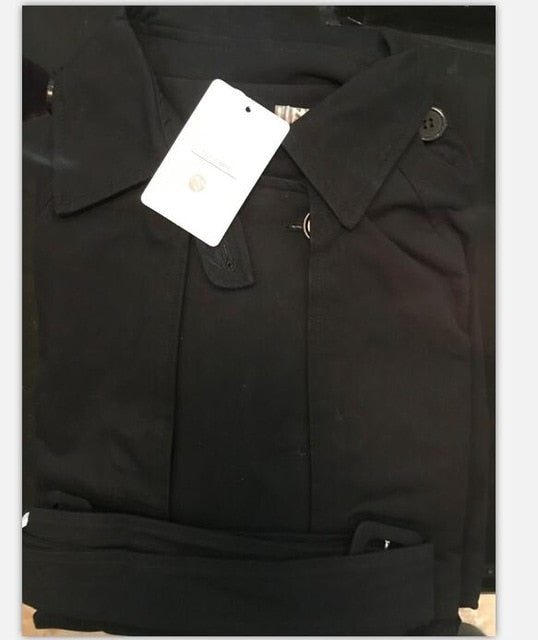 UK Brand new Fashion 2021 Fall /Autumn Casual Double breasted Simple Classic Long Trench coat with belt Chic Female windbreaker